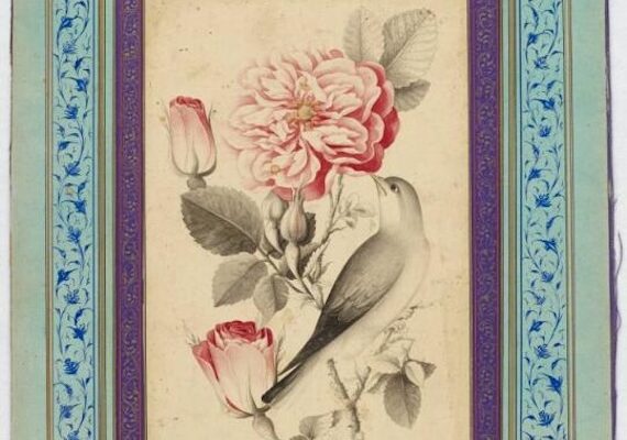 “Look to the Rose:”  Edward FitzGerald’s  Rubáiyát of Omar Khayyám 1:13