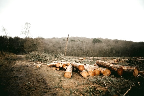 Environment and health: a connection that remains unseen in the Climate Change Conferences