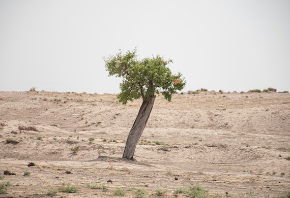 What Policies Can Help Solve Iran’s Climate-Driven Water Shortage?